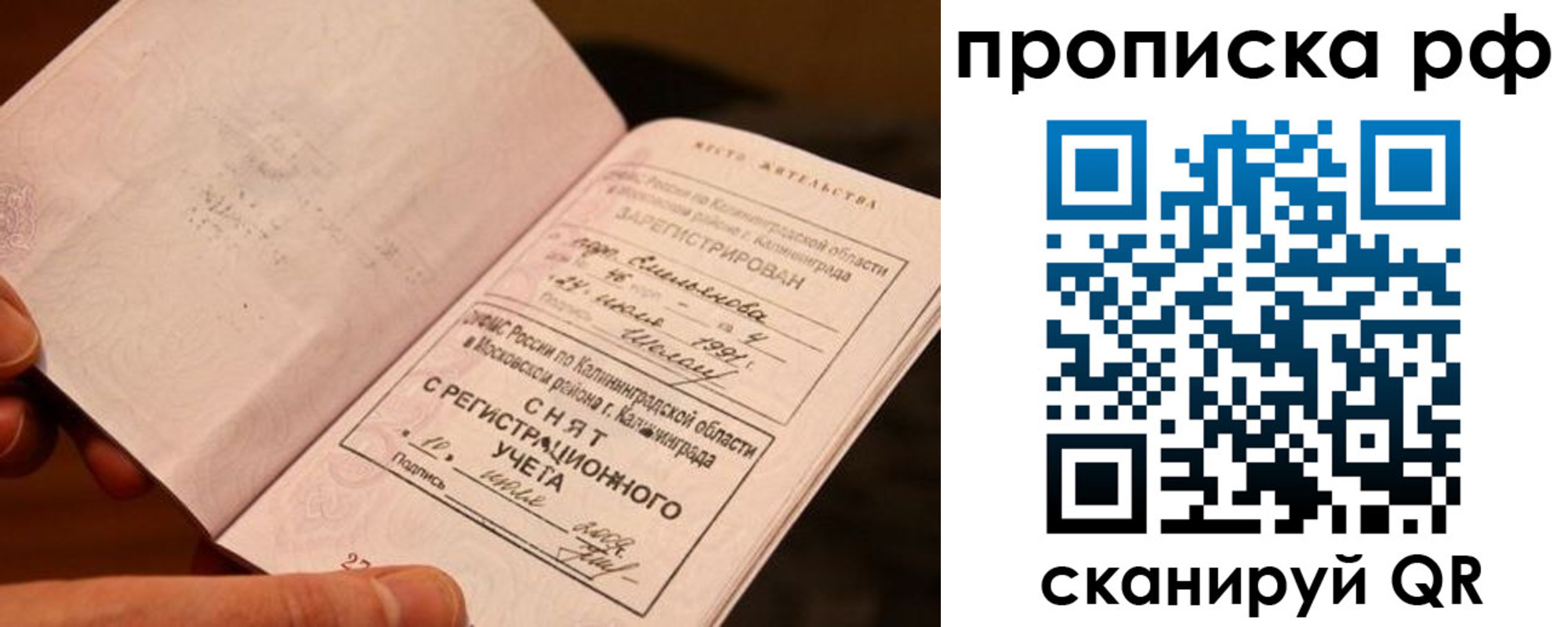 прописка гарантия в Заволжье